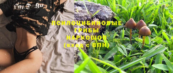 MESCALINE Баксан