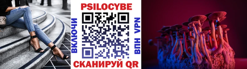 Псилоцибиновые грибы Cubensis MEGA ссылки Белоярский